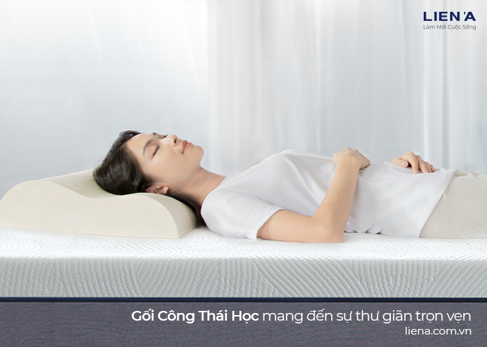 gối ngủ công thái học