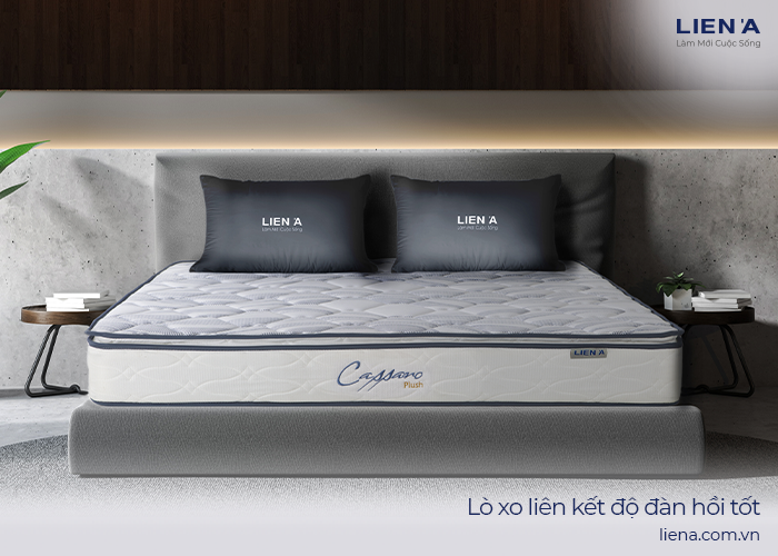 nệm lò xo liên kết