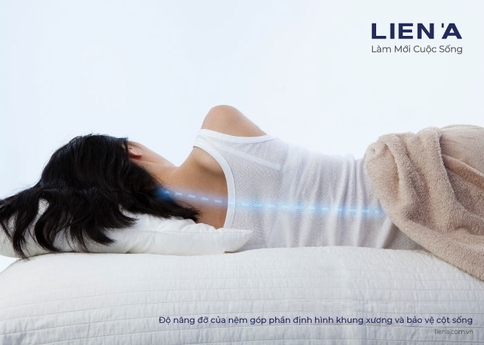 lợi ích độ nâng đỡ của nệm