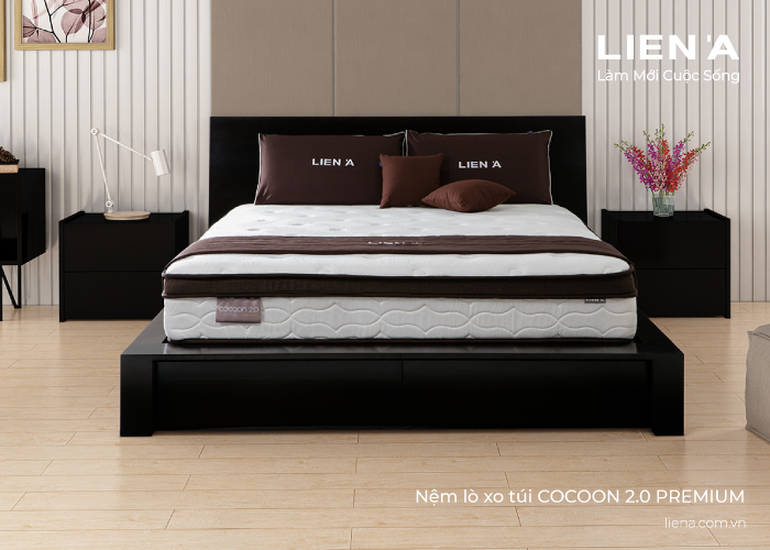 nệm lò xo cocoon