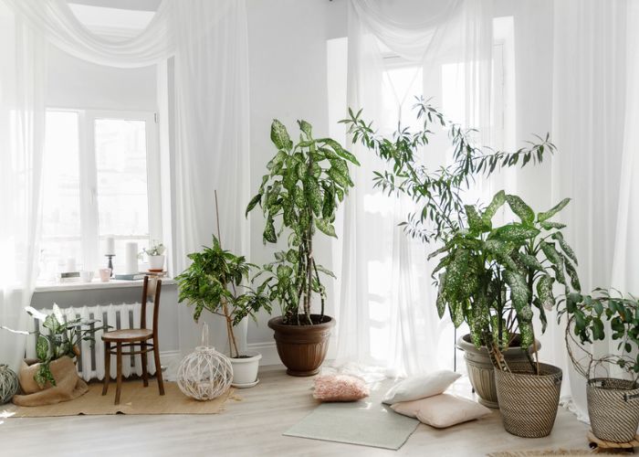 phong cách nội thất bắc âu