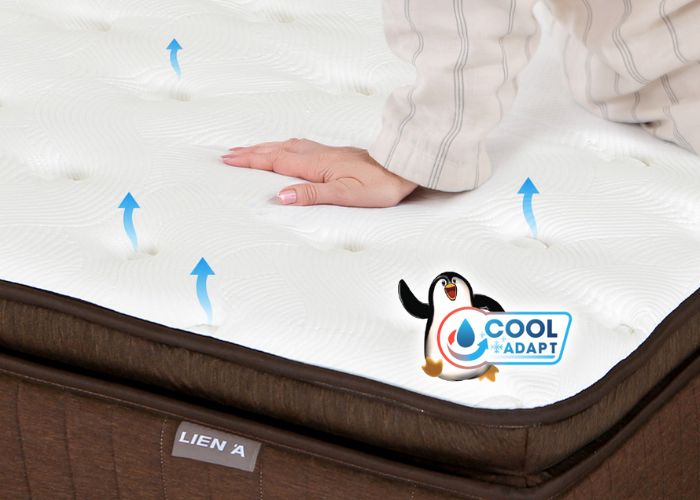 áo nệm cao cấp thoáng mát