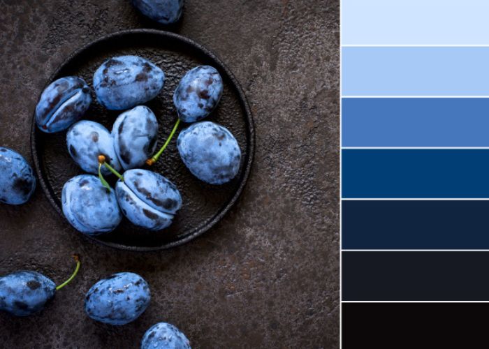 indigo là màu gì