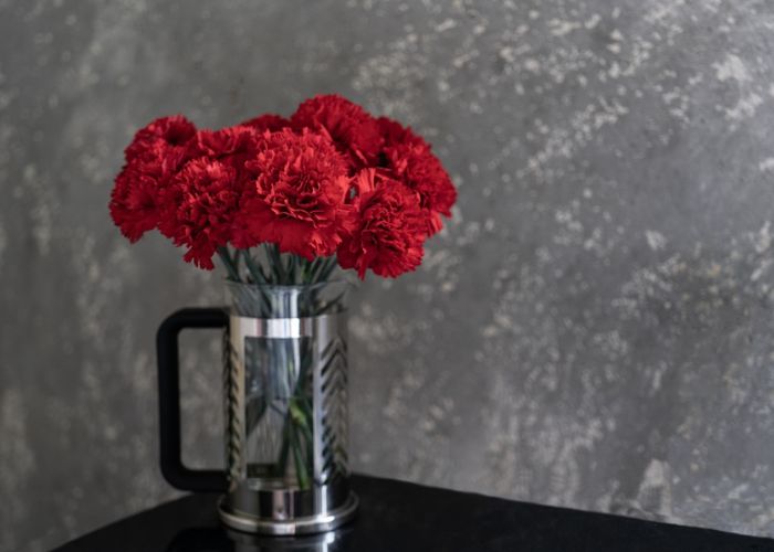 bông cẩm chướng