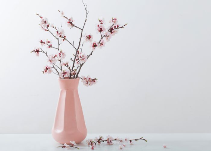 cách chăm sóc hoa đào