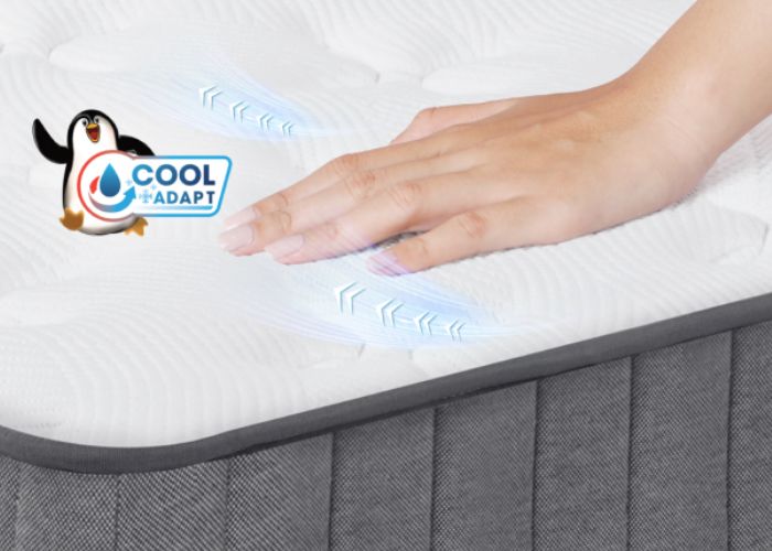cải tiến nệm cao su làm mát