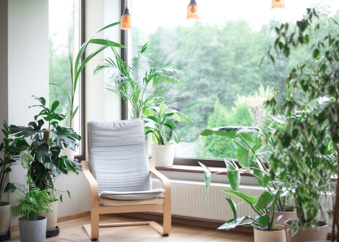 tropical interior design