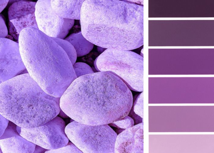 màu tím tượng trưng cho điều gì