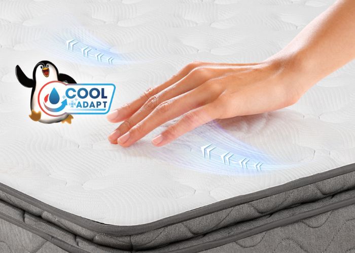 cộng nghệ cool adapt nệm lò xo