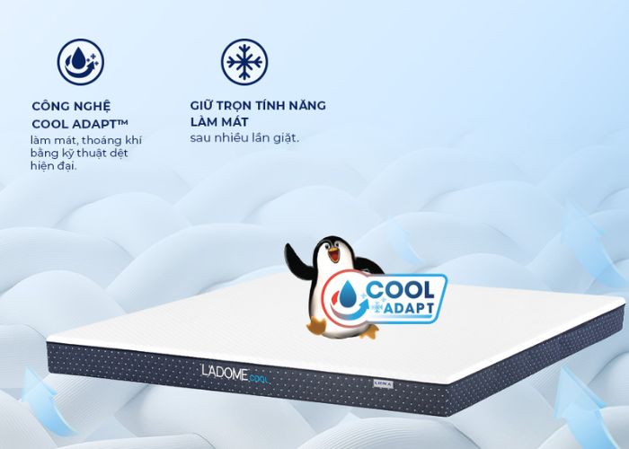 giá nệm cao su non