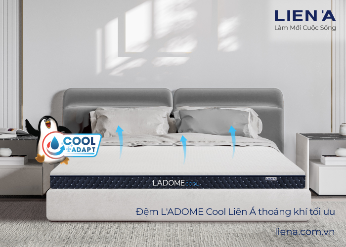 đệm cao su hà nội l'adome cool