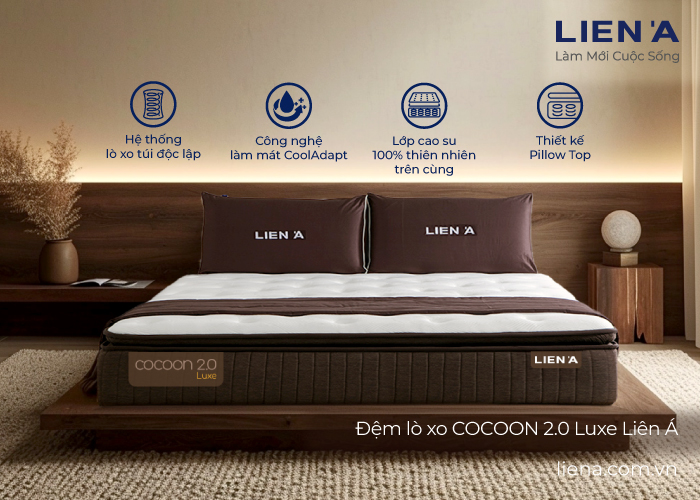 đệm lò xo hà nội cocoon 2.0 luxe