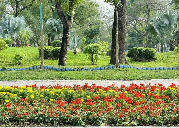 đi chơi tết hà nội ở công viên thống nhất