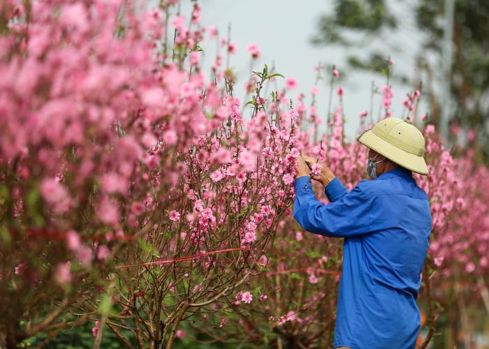 địa điểm đi chơi tết ở hà nội