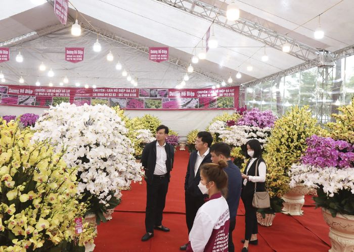 đi chơi tết hà nội ở vườn hoa lạc long quân