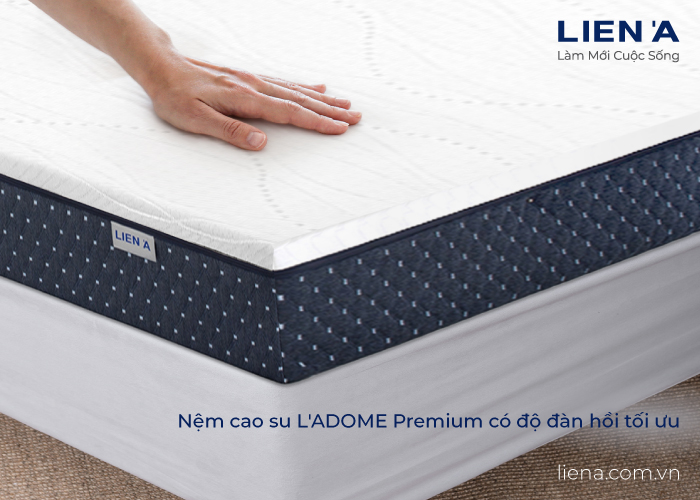 độ đàn hồi nệm cao su 20cm