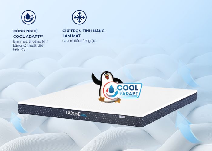 dòng nệm l'adome cool là gì