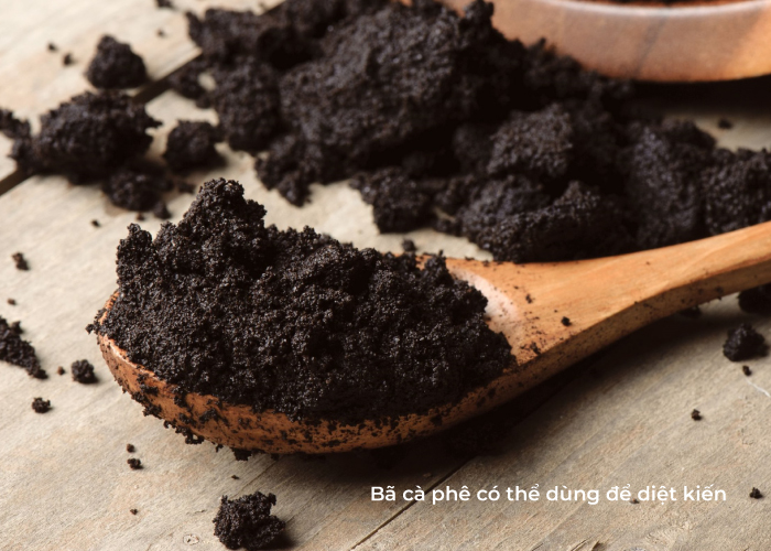 cách diệt kiến trên giường ngủ