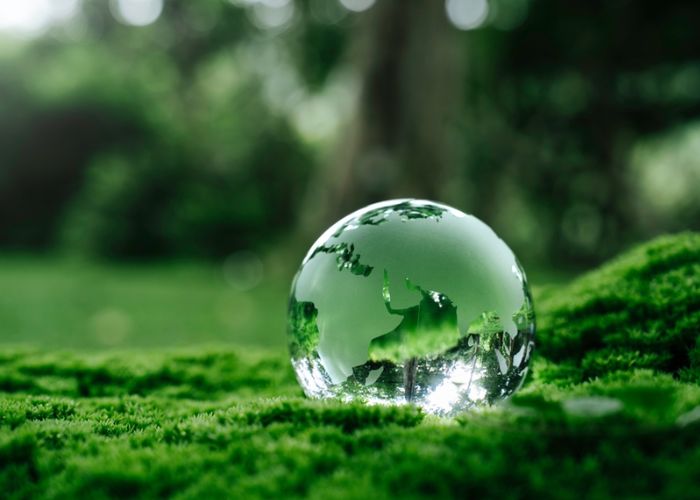 eco-friendly là gì