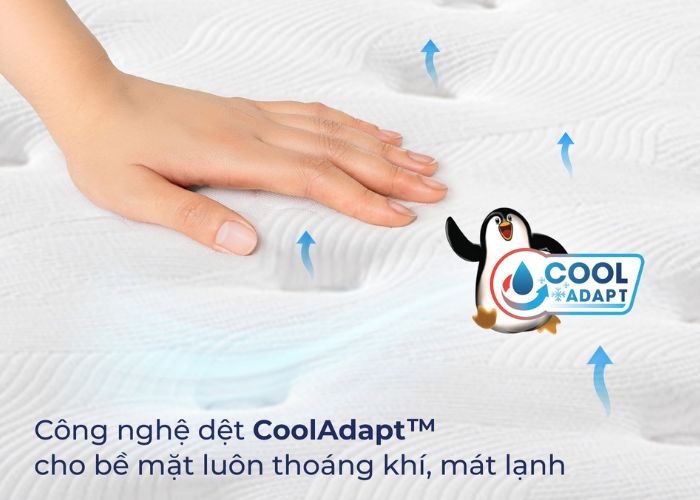 giải pháp thay thế cho nệm foam