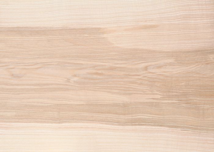 gỗ ash là gỗ gì