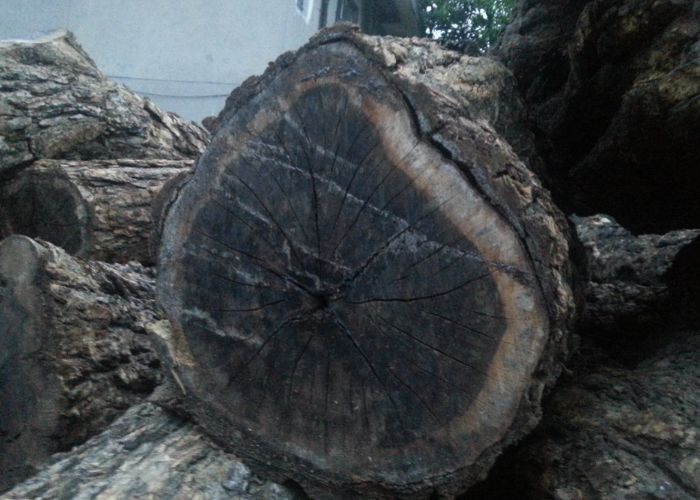 gỗ mun tự nhiên