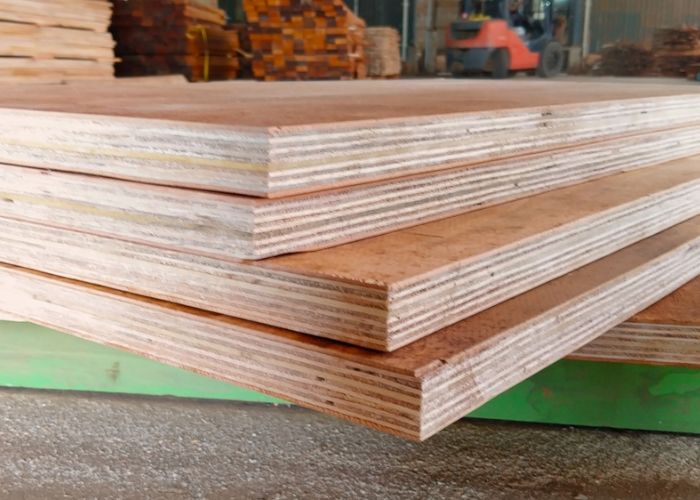plywood là gì