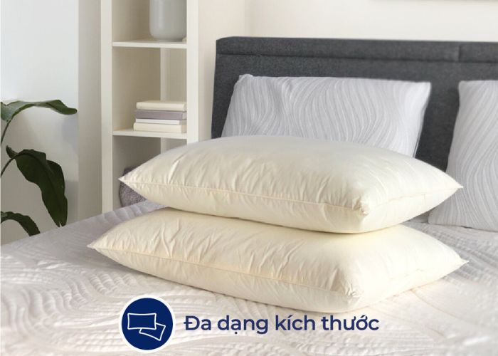 gối gòn tơ mliving