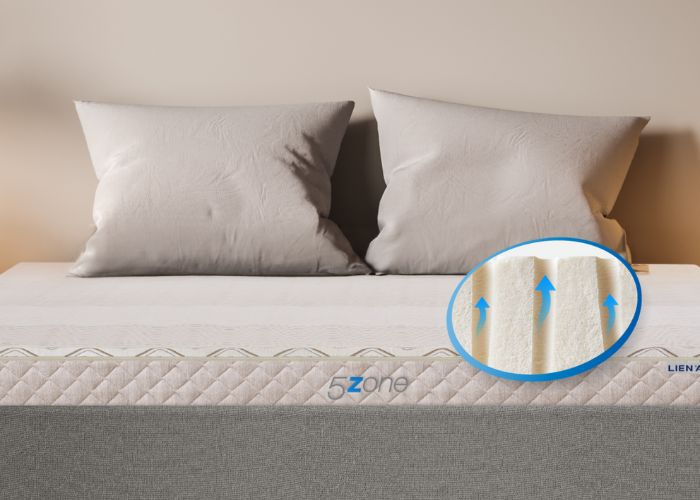 nệm 5zone có lỗ thông khí