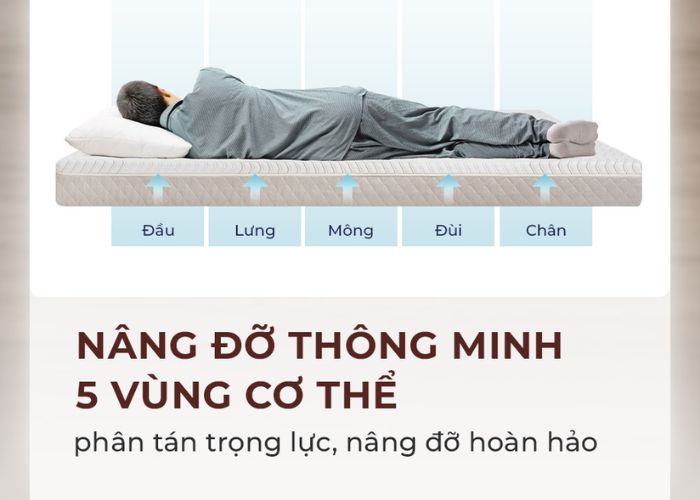 nệm 5zone là gì