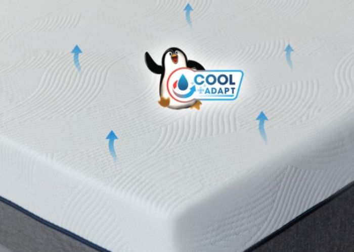 nệm cao su công nghệ làm mát