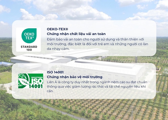 nệm cao su hybrid đạt chứng nhận