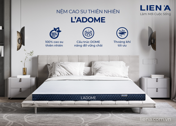 nệm cao su hãng nào tốt