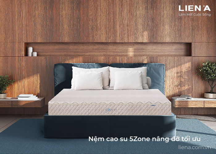 nệm cao su massage 5zone