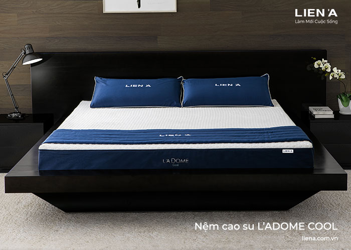nệm cao su cho người già l'adome cool