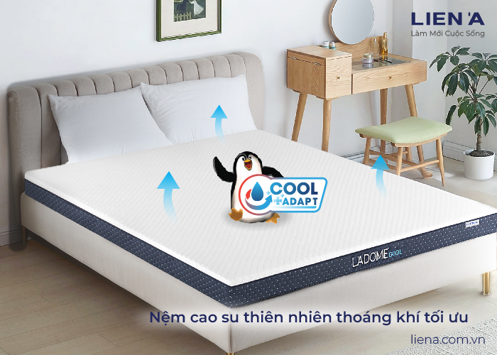 nệm cao su thông hơi có tốt không