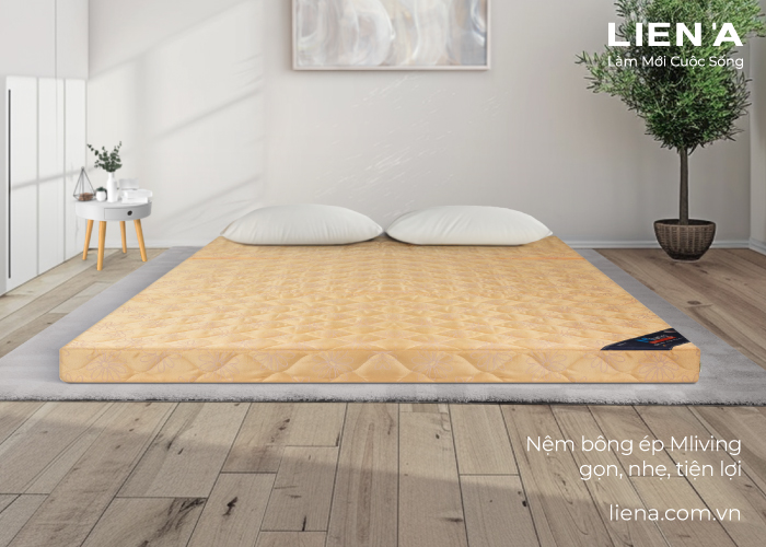 nệm gấp gọn 2 người mliving