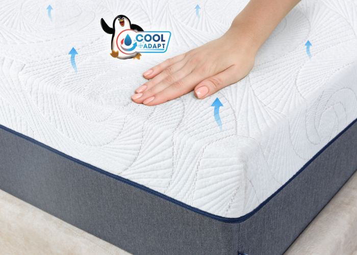 nệm hybrid cool adapt