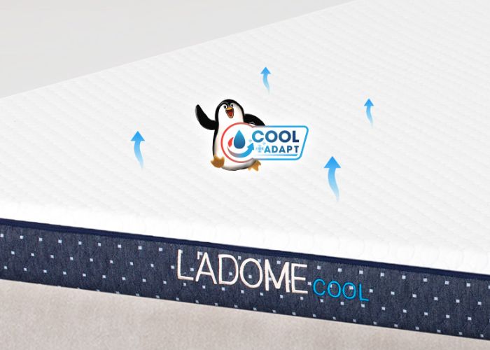 nệm ladome cool có lỗ thông khí
