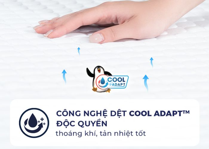 nệm l'adome cool là gì