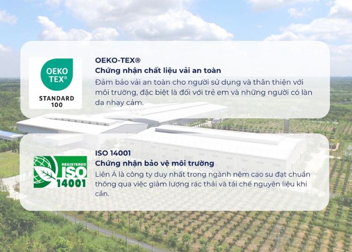 nệm lò xo chứng nhận quốc tế