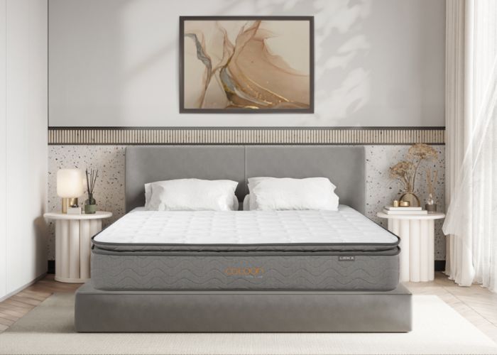 nệm lò xo cocoon grey luxe