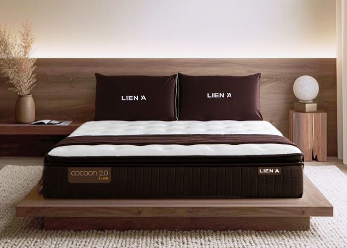 nệm lò xo cocoon luxe