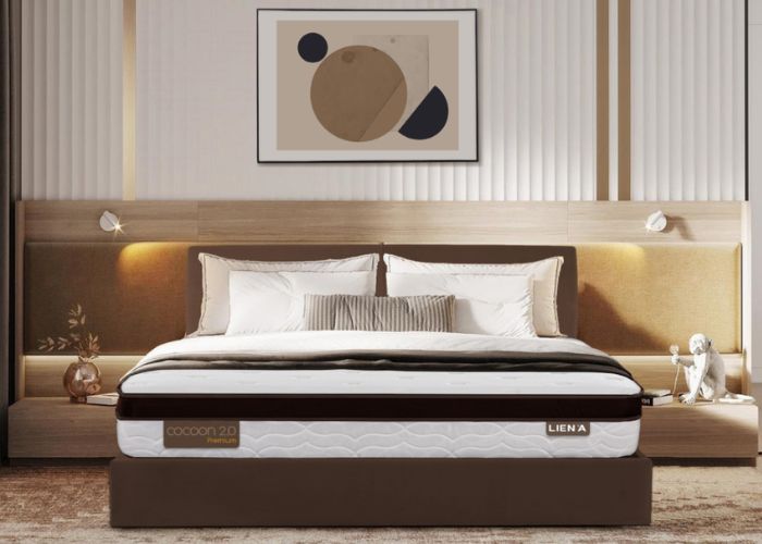 nệm lò xo cocoon premium