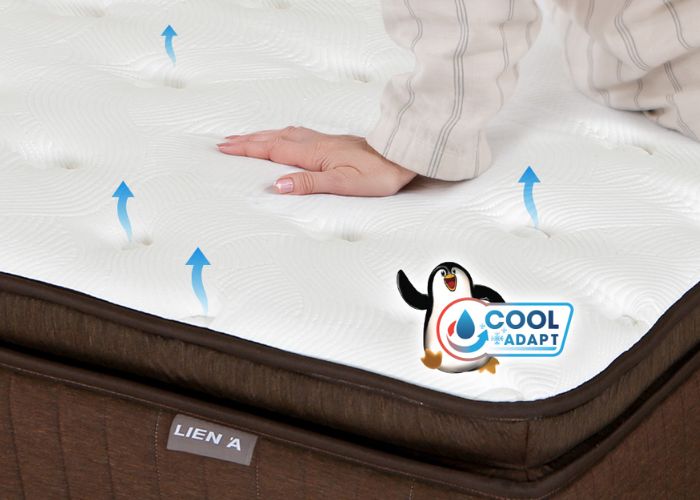 Nệm lò xo LIÊN Á - Sự khác biệt từ chất lượng