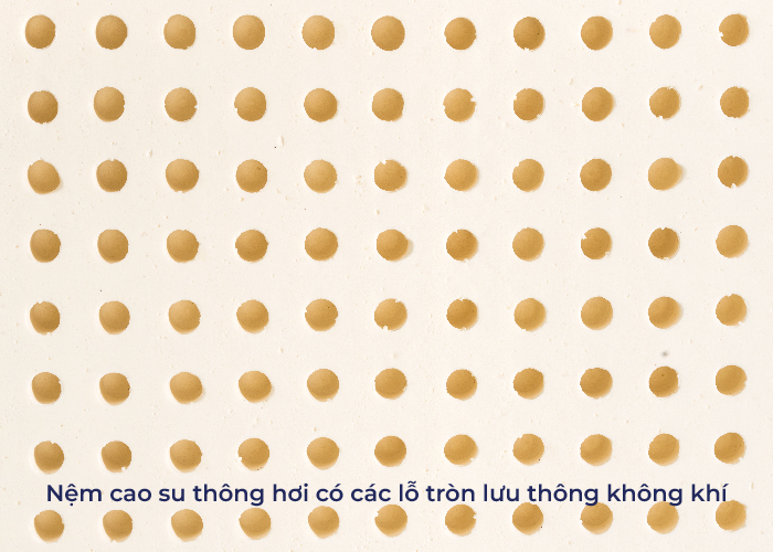 nệm thông hơi là gì