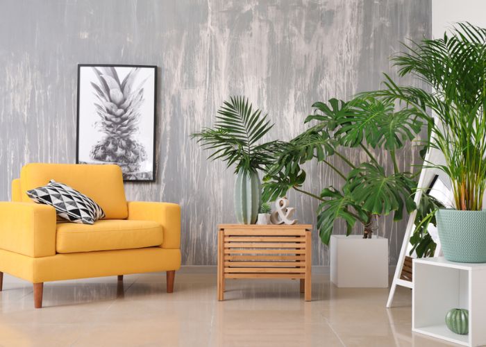 phong cách thiết kế nội thất tropical