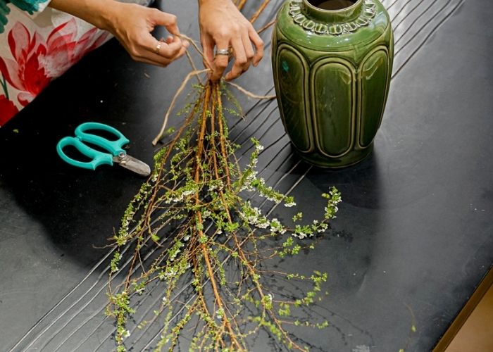 hoa tuyết mai ý nghĩa