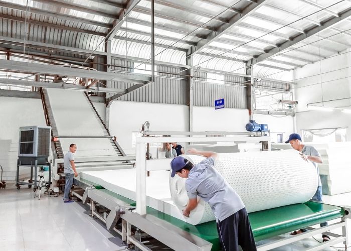 quy trình sản xuất nệm cao su đạt chuẩn quốc tế