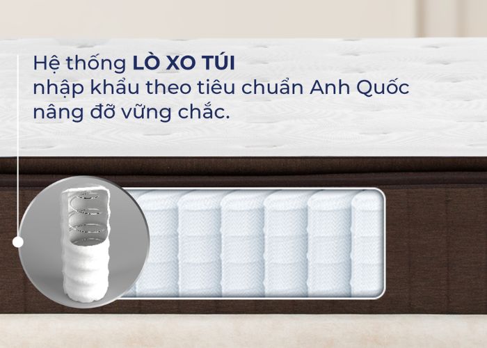 review nệm lò xo túi độc lập